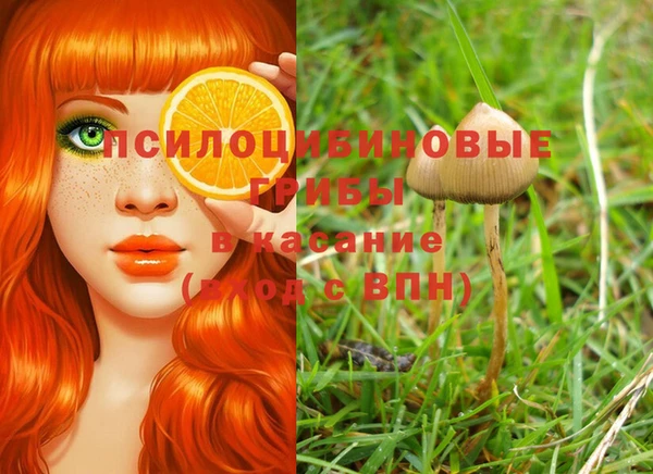 spice Алексин