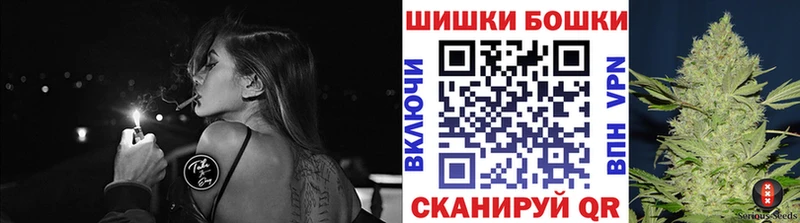 Конопля сатива  дарнет шоп  Павлово 
